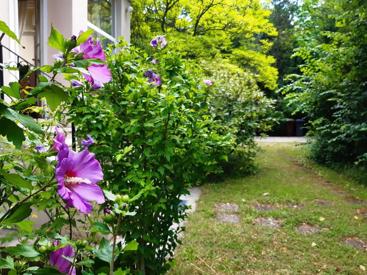 Pension Villa Inge Baden Exterior foto