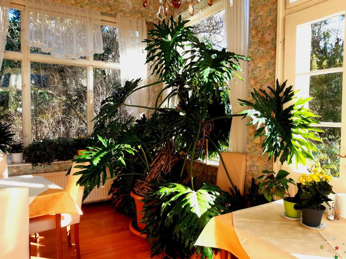 Pension Villa Inge Baden Exterior foto